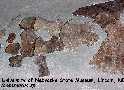 mosa-ara.jpg (3563 bytes)