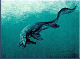 varn14a.jpg (2465 bytes)