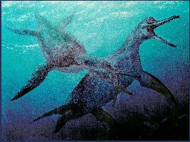 varn15a.jpg (2577 bytes)