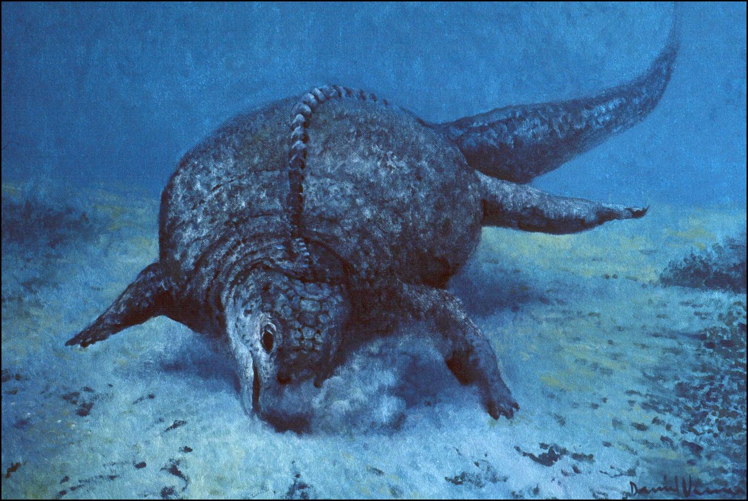 The Prehistoric Ocean Illustrations Of Dinosaurs