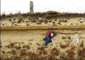 XiphactinusSite0a.jpg (23287 bytes)