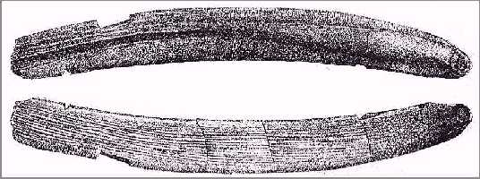 leidy17a.jpg (31517 bytes)