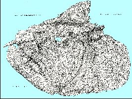 prentica.jpg (26101 bytes)