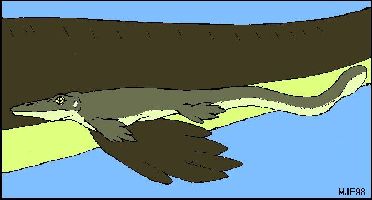 babymoa.jpg (15242 bytes)