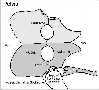 cd99pel3.jpg (2391 bytes)