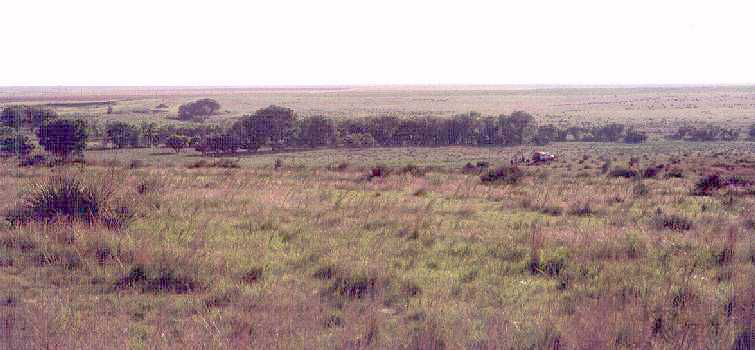 cd99view.jpg (34156 bytes)