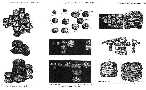 ptydoc1a.jpg (4108 bytes)