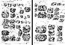 ptydoc3a.jpg (4977 bytes)