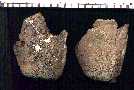 thrypt1a.jpg (3173 bytes)