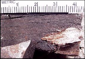 carbwoob.jpg (22095 bytes)