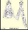 figure3a.jpg (2999 bytes)
