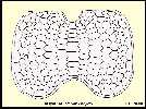 figure6a.jpg (5377 bytes)