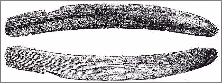 leidyp17.jpg (73847 bytes)