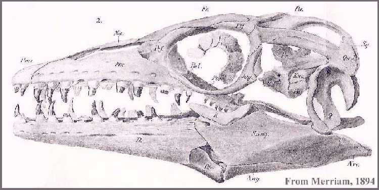 merr-94d.jpg (47349 bytes)