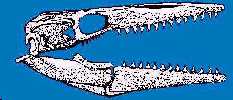 oceans5.jpg (7123 bytes)