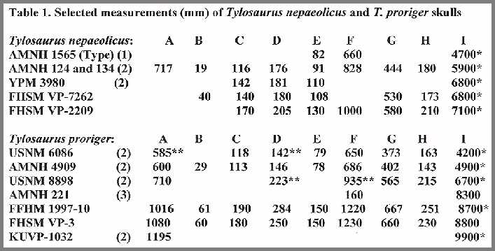 table01.jpg (43520 bytes)