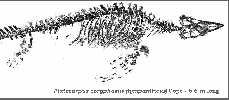 tubplat2.jpg (5802 bytes)