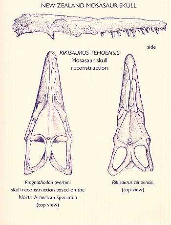 nz-riki1.jpg (22361 bytes)
