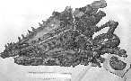 nzmosa3a.jpg (3254 bytes)