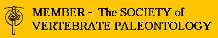 svp-ba~1.gif (2207 bytes)