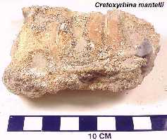 vertan2a.jpg (9789 bytes)