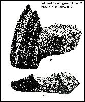 plate19a.jpg (14374 bytes)