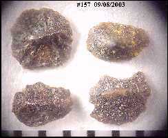 bhbrmc1a.jpg (9233 bytes)