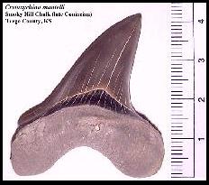 cr-man9a.jpg (12172 bytes)