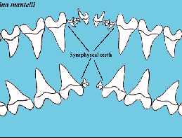 cret-tta.jpg (10323 bytes)