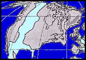global1x.jpg (16944 bytes)