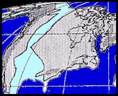 global3z.jpg (13289 bytes)