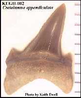 kegh002a.jpg (5567 bytes)