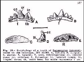 mh2teeta.jpg (12741 bytes)