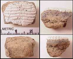 pmartina.jpg (10361 bytes)