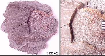 2ke-002a.jpg (16700 bytes)
