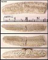 3ke-009a.jpg (7767 bytes)