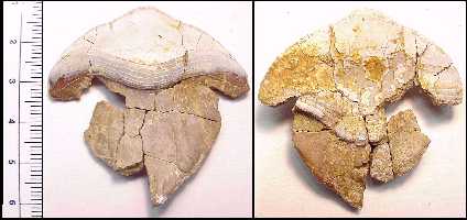 3ke-010a.jpg (14865 bytes)