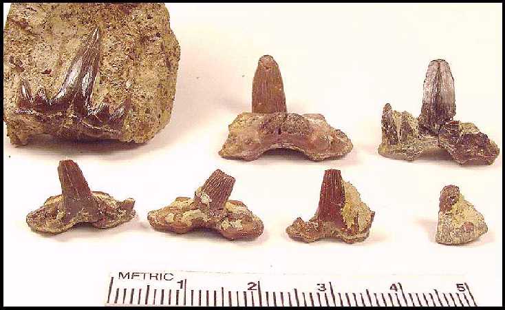ke-008a.jpg (49141 bytes)