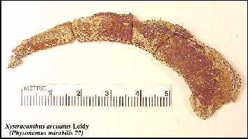 ke-015a.jpg (12586 bytes)