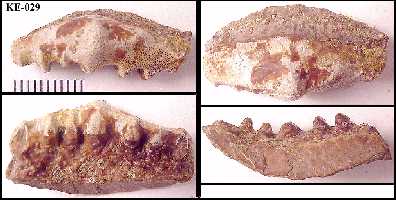 ke-029a.jpg (18257 bytes)