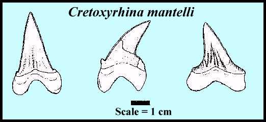 creteth1.jpg (17775 bytes)