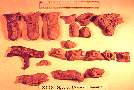 t-skull.jpg (3939 bytes)